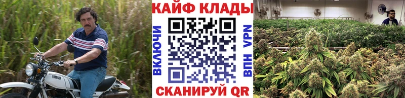 ТГК Жердевка