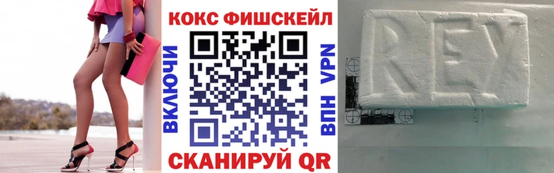 COCAIN FishScale  магазин продажи   мега ТОР  Жердевка 