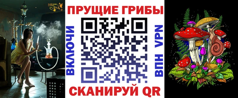 Галлюциногенные грибы мицелий  нарко площадка наркотические препараты  Жердевка 