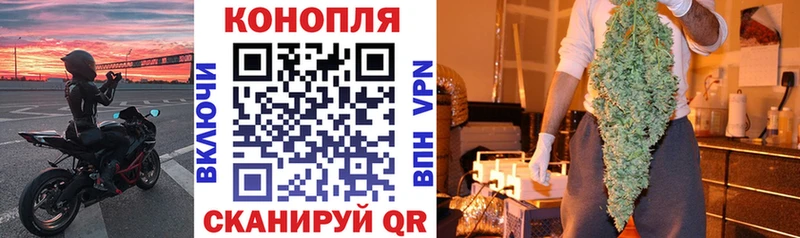 как найти наркотики  Жердевка  Марихуана сатива 